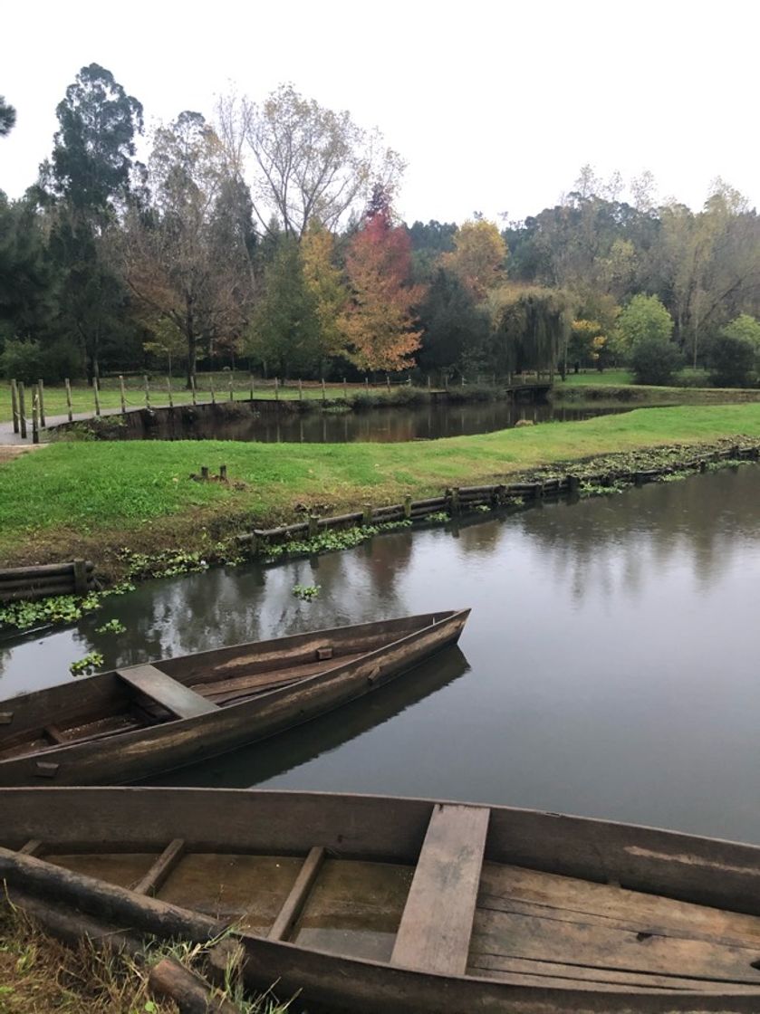 Lugar Pateira de Fermentelos