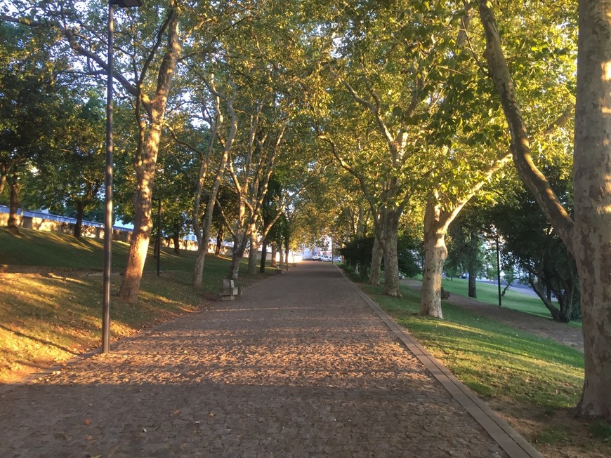 Place Jardim da Corredoura