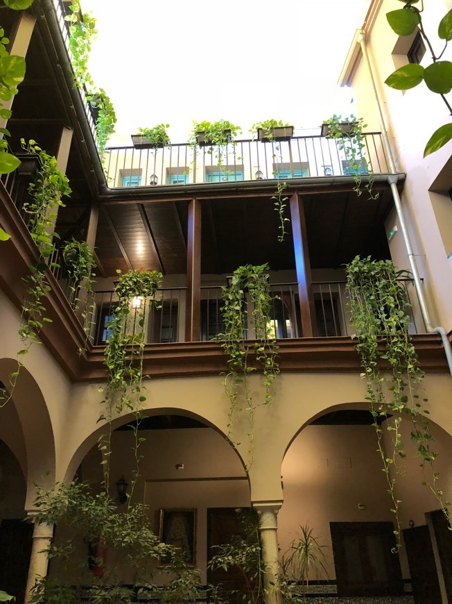 Place Hotel Patio de Las Cruces