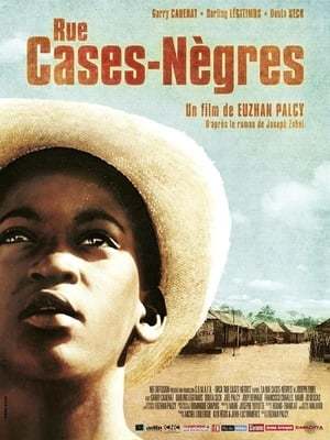 Movie Rue cases-nègres