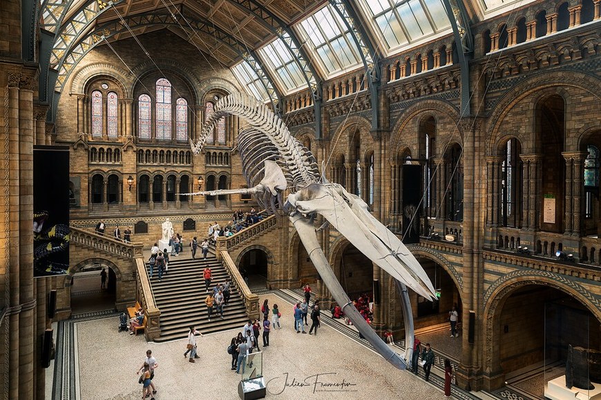 Place Museum of London