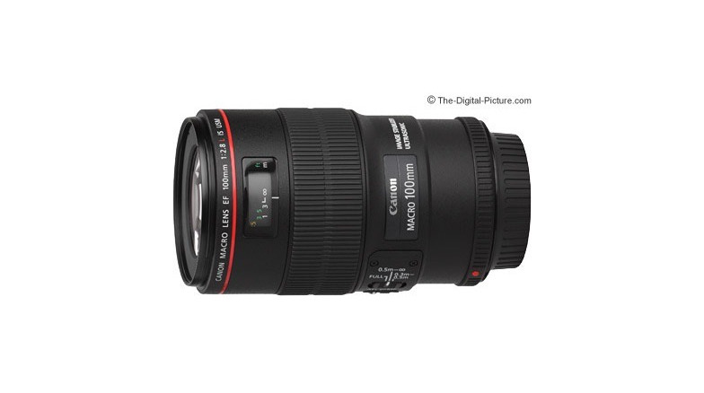 Social Canon EF 100mm f/2.8L IS USM Macro Lens