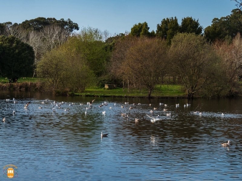 Lugar Parque da Cidade