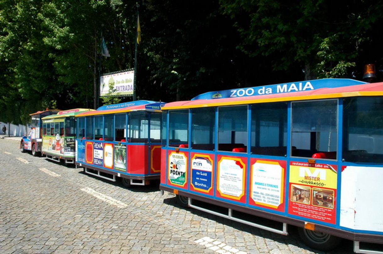 Place Maia (Zoo)