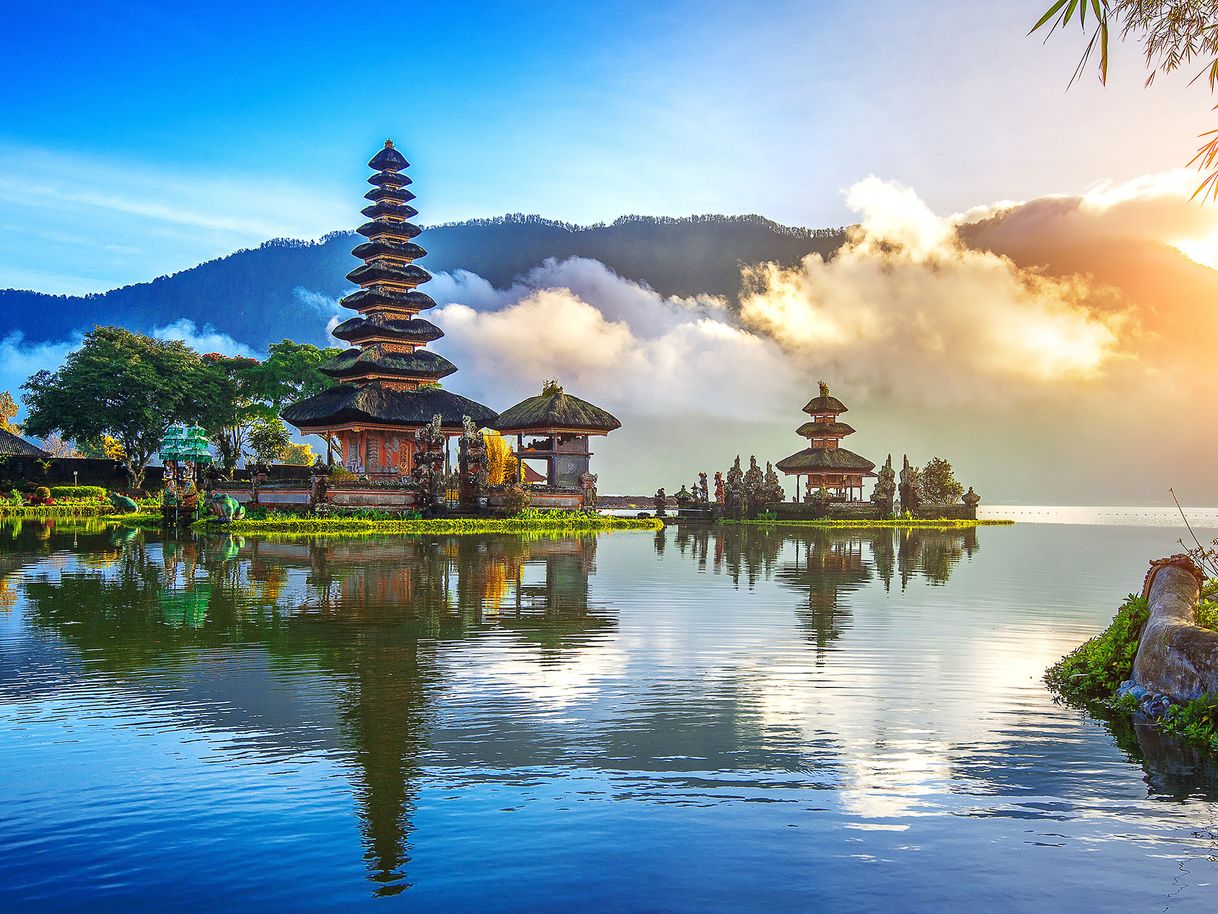 Social Bali