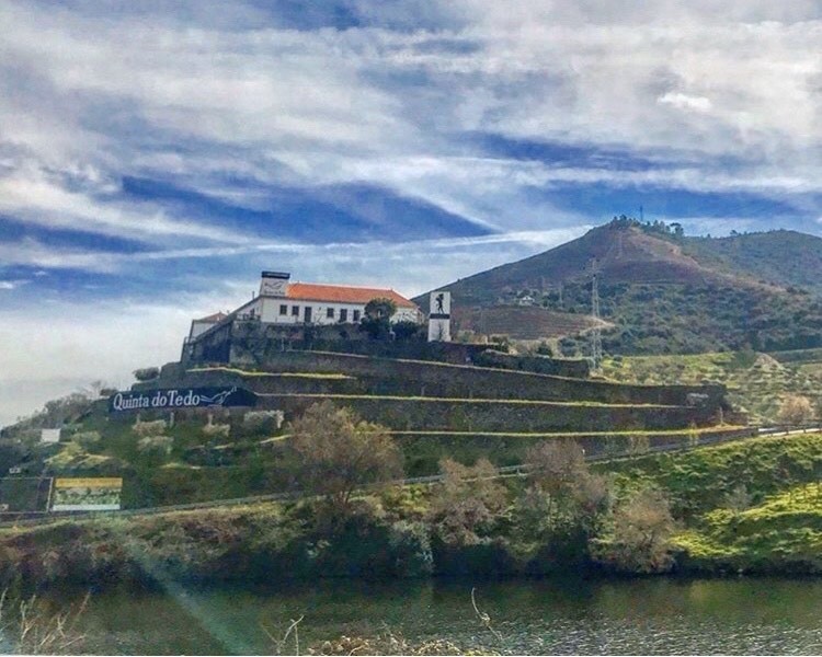 Restaurantes Quinta do Tedo