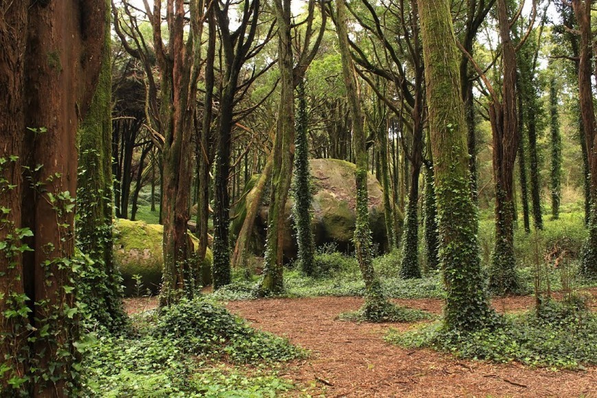 Place Sintra