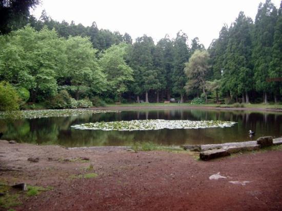 Lugar Lagoa das Patas