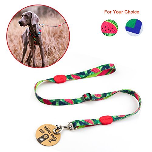 Place RCruning-EU Correa de Perro Extensible 86-136cm Rainbow Series,Traction Rope Nylon Dog Leash,