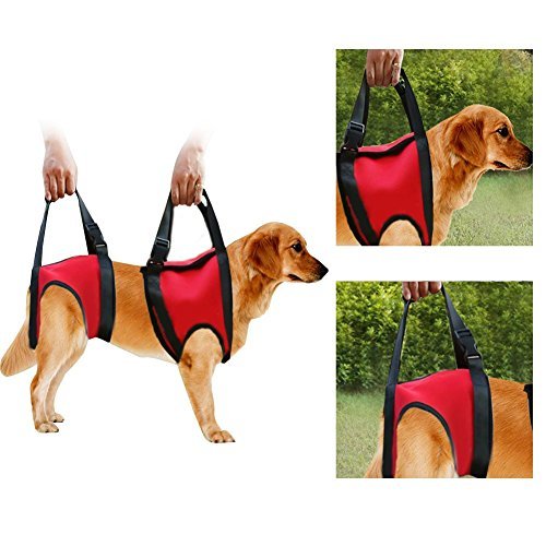 Places Filfeel Soporte para perros Arnés Pet Walking Ayuda Lifting Pulling Vest Sling