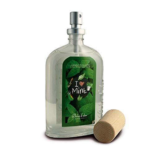 Lugares I Love menta – Eau de Parfum Spray ambientador ambientador 100 ml