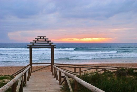 Playa Del Palmar, Cádiz