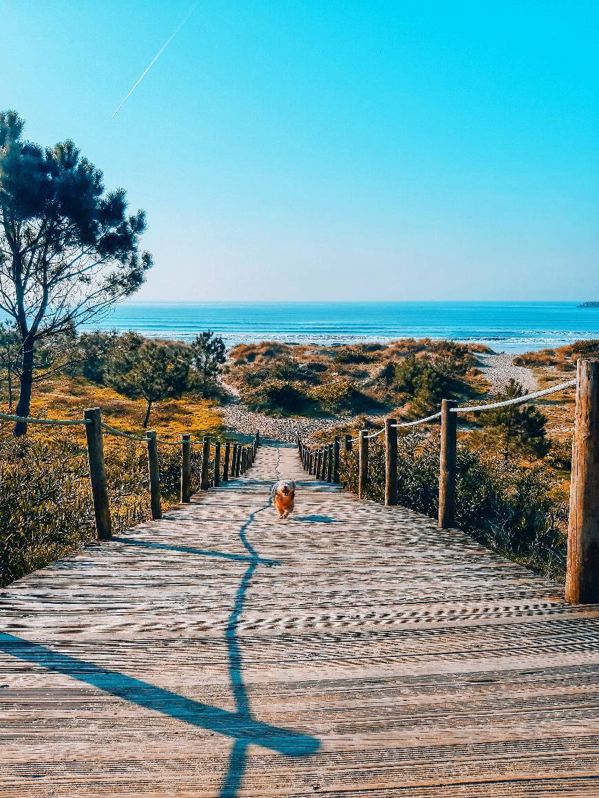 Place Praia do Cabedelo