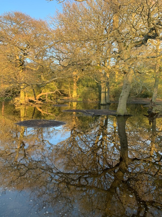 Place Connaught Water