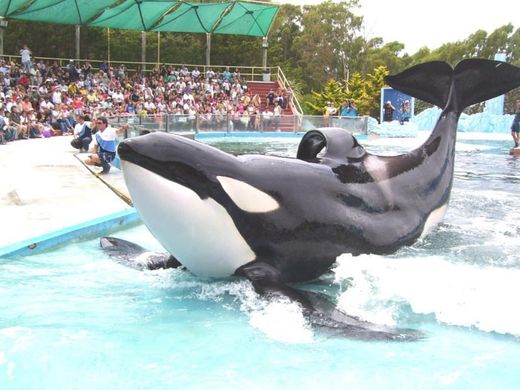 Oceanario de Lisboa - Wikipedia, la enciclopedia libre