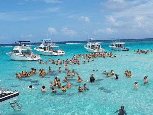 Stingray City Cayman Islands