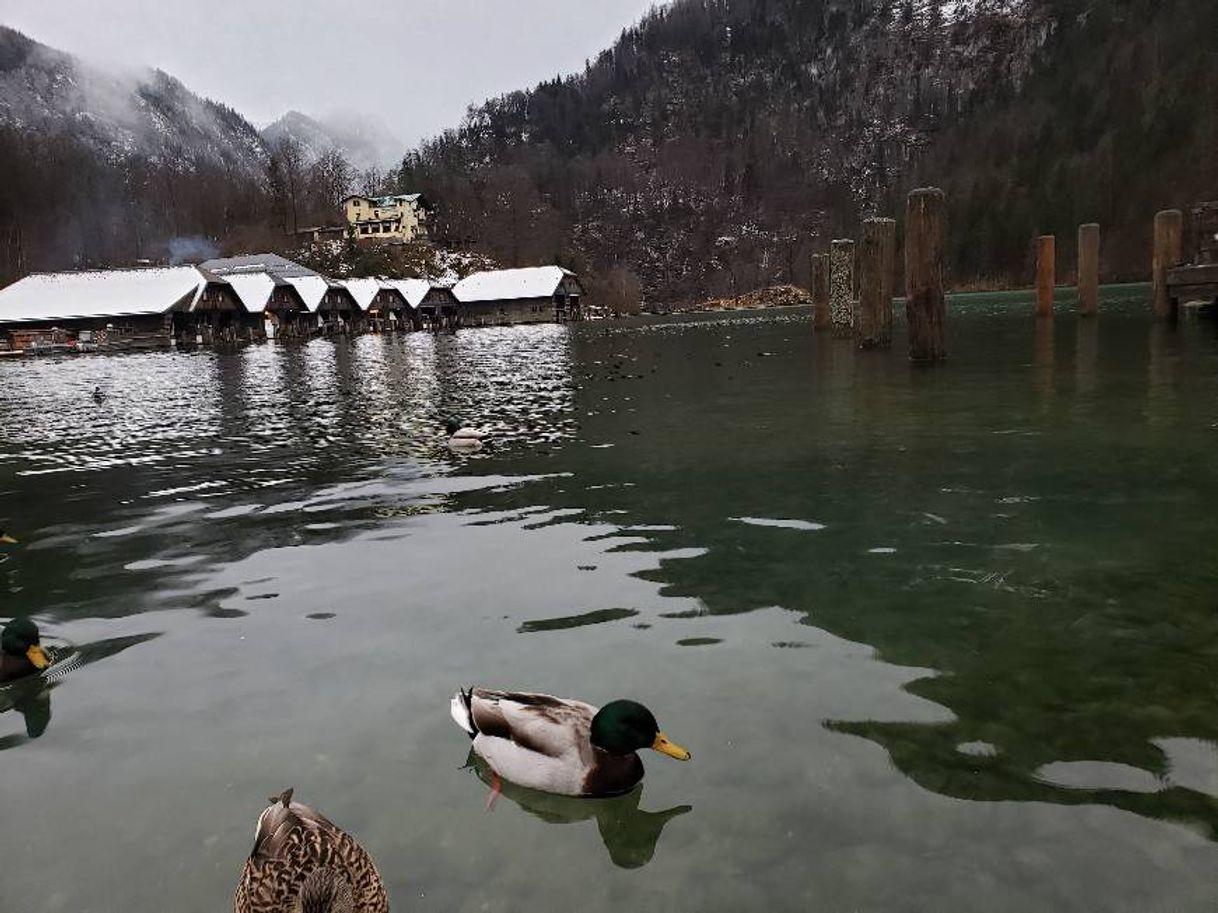 Place Königssee