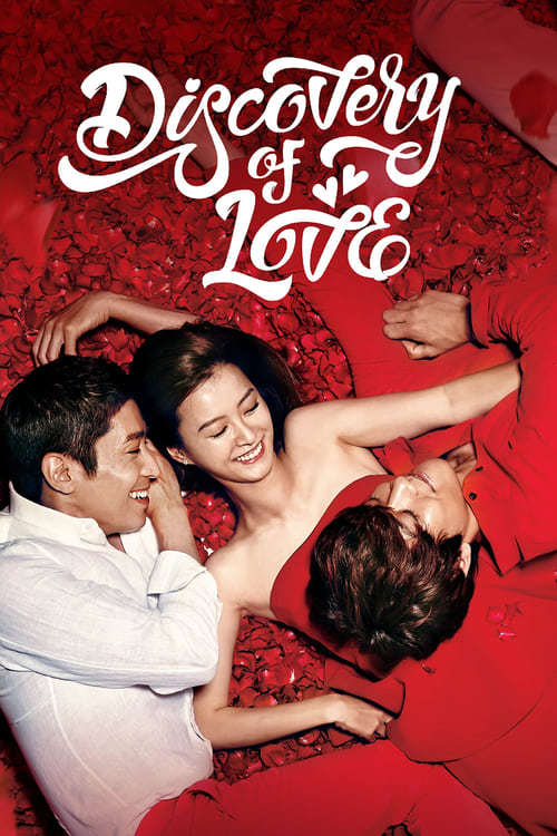 Serie Descubriendo el amor