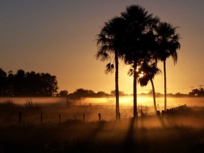 Place Chaco Paraguayo