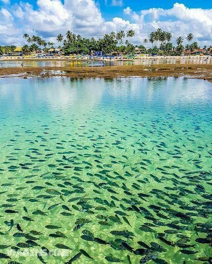 Place PRAIA BRASILEIRA