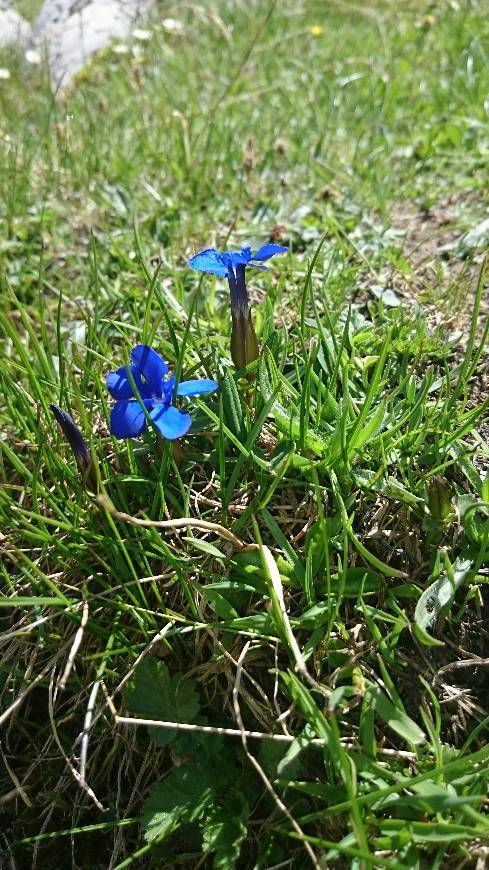 Social Foto única e original