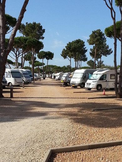 Algarve Motorhome Park Falesia