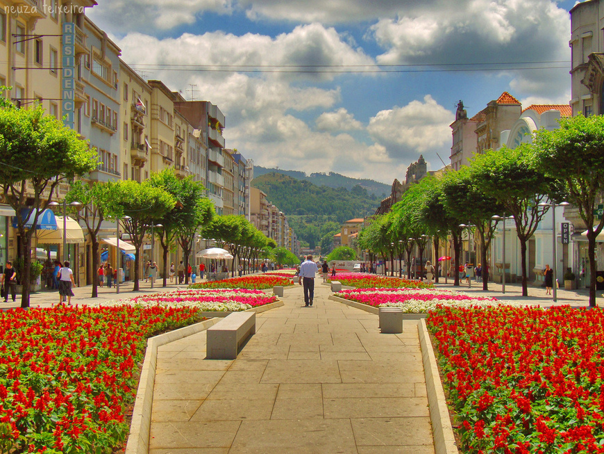 Lugar Avenida de Braga