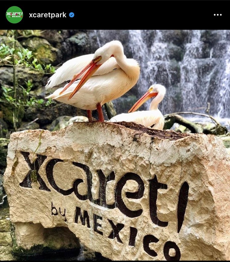 Lugar Xcaret