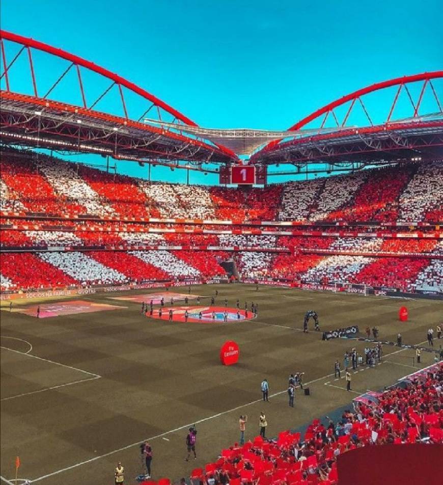 Lugar Estádio Sport Lisboa e Benfica