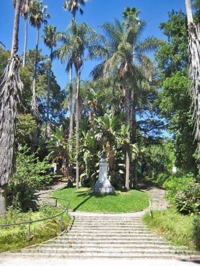 Jardín Botánico de la Universidad de Lisboa