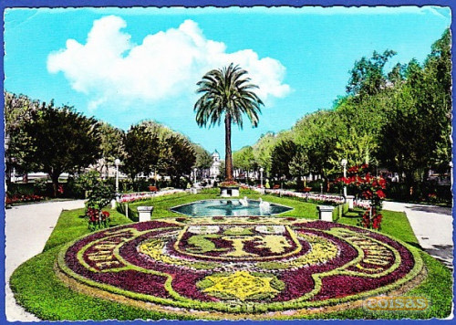 Lugar Manuel Braga Park