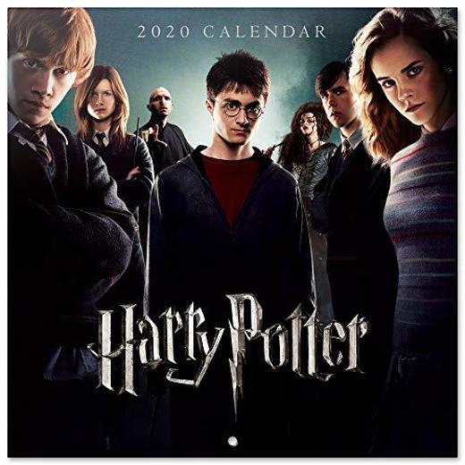 ERIK - Calendario de pared 2020 Harry Potter, 30 x 30 cm
