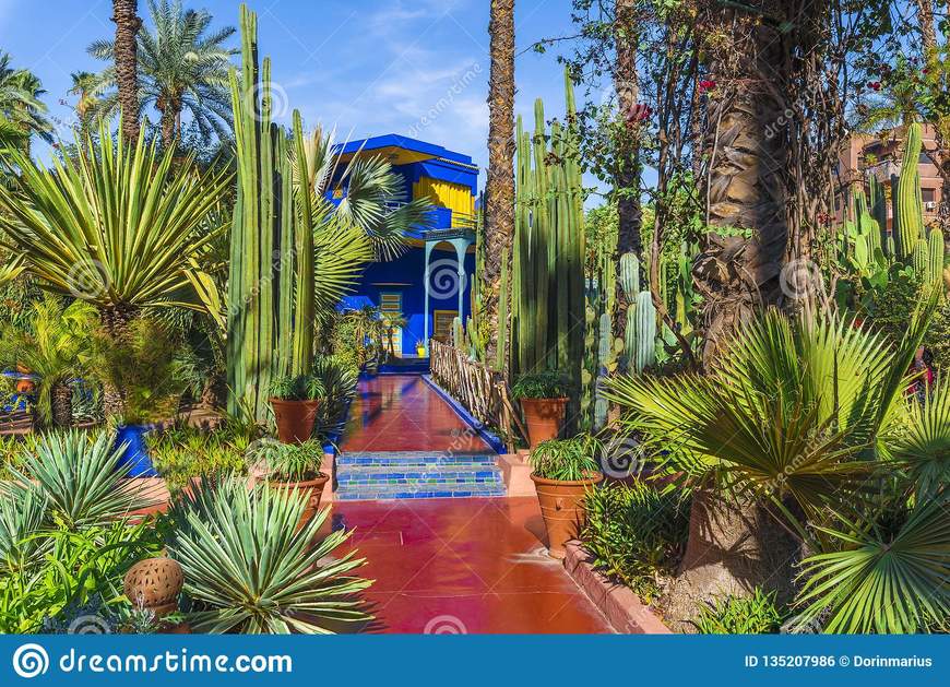 Lugar Jardín Majorelle