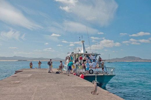 Corralejo: Round-Trip Ferry to Isla de Lobos Tickets - Corralejo ...