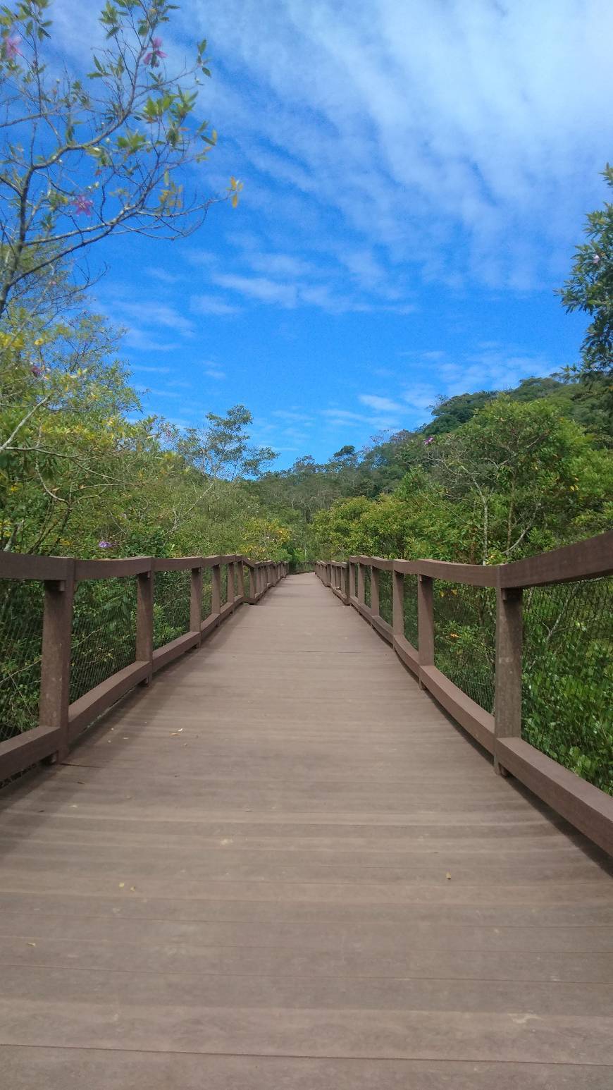 Places Parque Ecológico Imigrantes