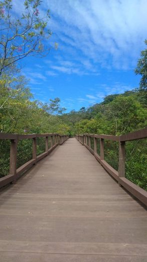 Parque Ecológico Imigrantes