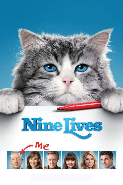 Movie Siete vidas, este gato es un peligro