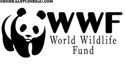 WWF conserves our planet, habitats, & species like the Panda ...