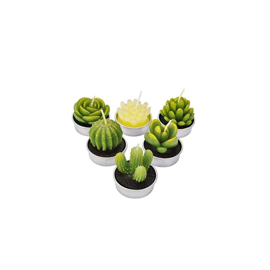 Social LA BELLEFÉE - Velas Cactus