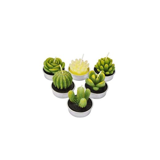LA BELLEFÉE - Velas Cactus