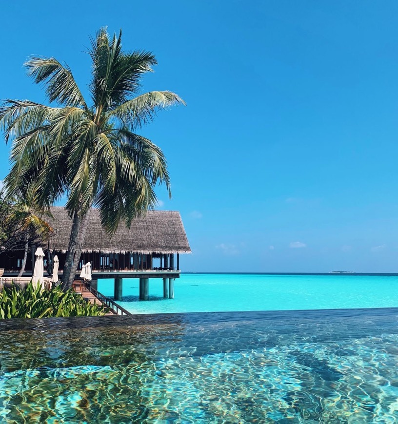 Lugar Islas Malvinas