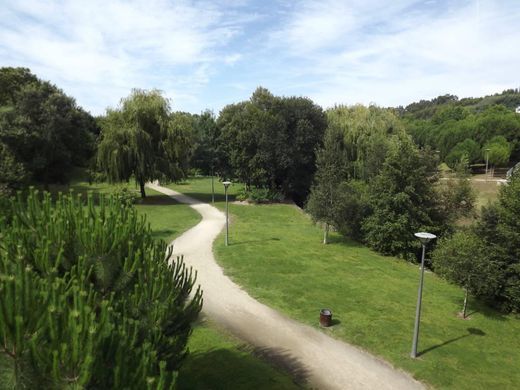 Lugar Parque da Cidade de Penafiel