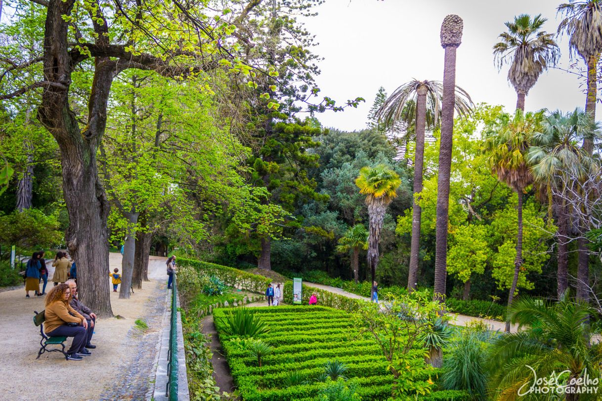 Lugar Jardín Botánico de la Universidad de Lisboa