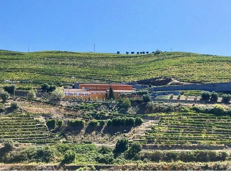 Lugar Quinta do Vallado