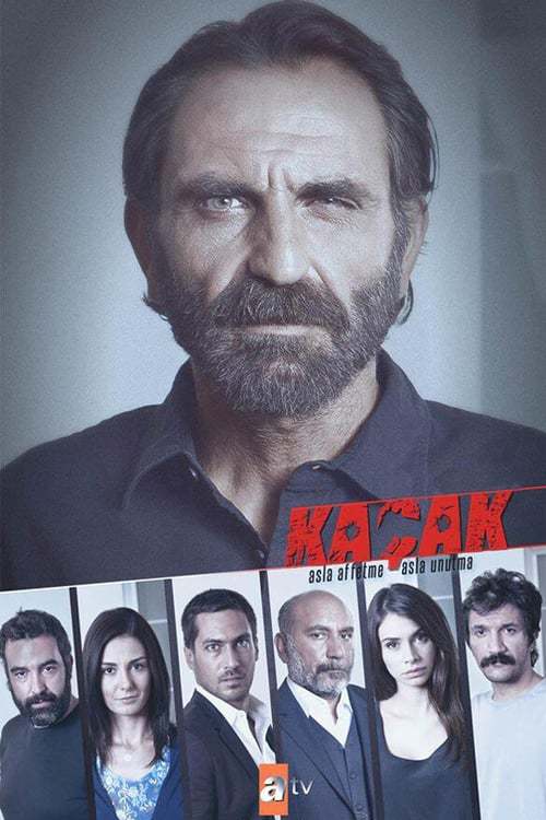 Movie Su gran deseo