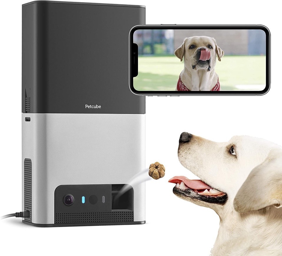 Fashion Petcube Bites 2 Wi-Fi Pet Camera with Treat Dispenser & Alex