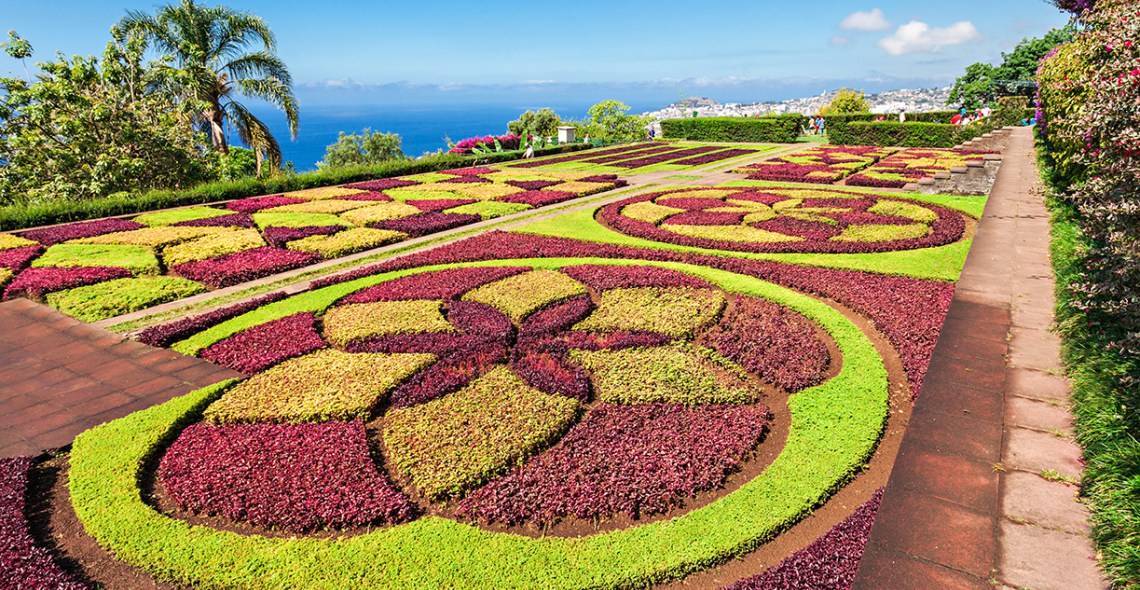 Place Jardín Botánico de Madeira