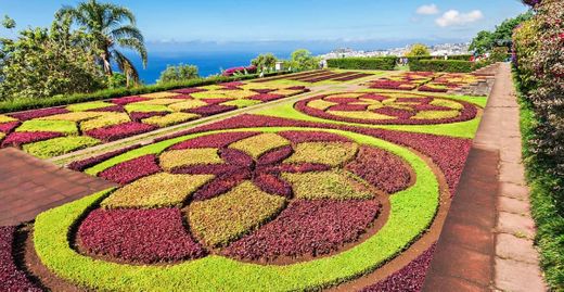 Jardín Botánico de Madeira