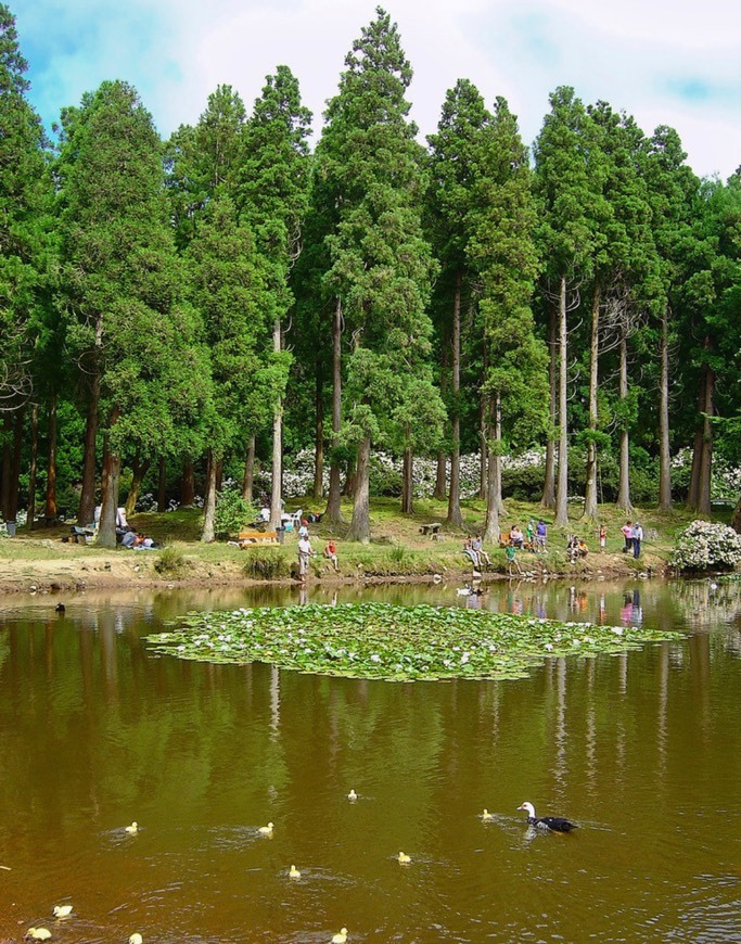 Lugar Lagoa das Patas