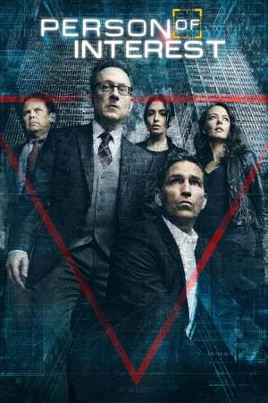 Serie Vigilados, Person of Interest